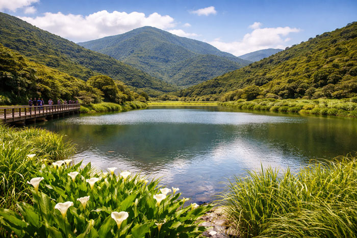 Bamboo Lake entouré de collines verdoyantes dans le parc national de Yangmingshan à Taïwan