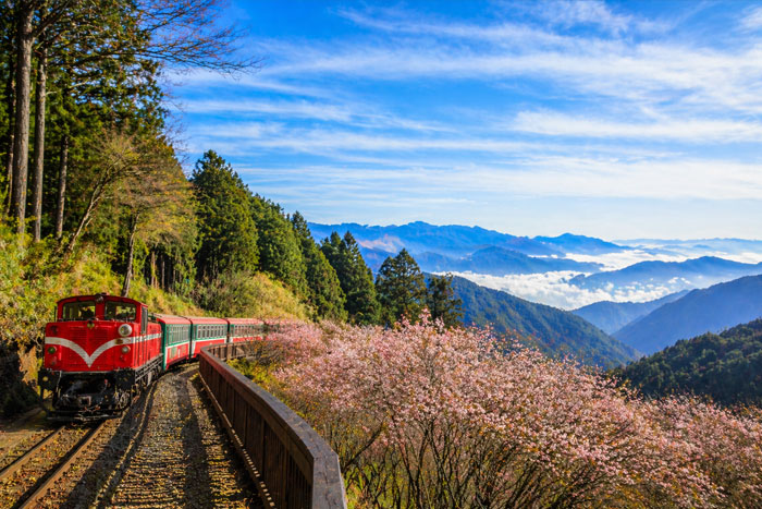 Alishan day trip with forest railway, mountains and scenic views in Taiwan
