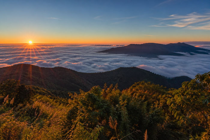 Alishan sunrise tour with sea of clouds and mountain views in Taiwan